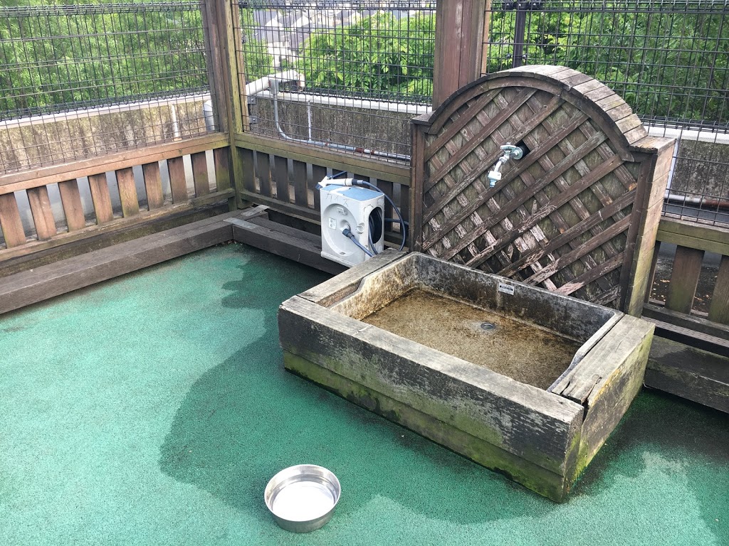 f:id:omisoblog:20201215232725j:plain