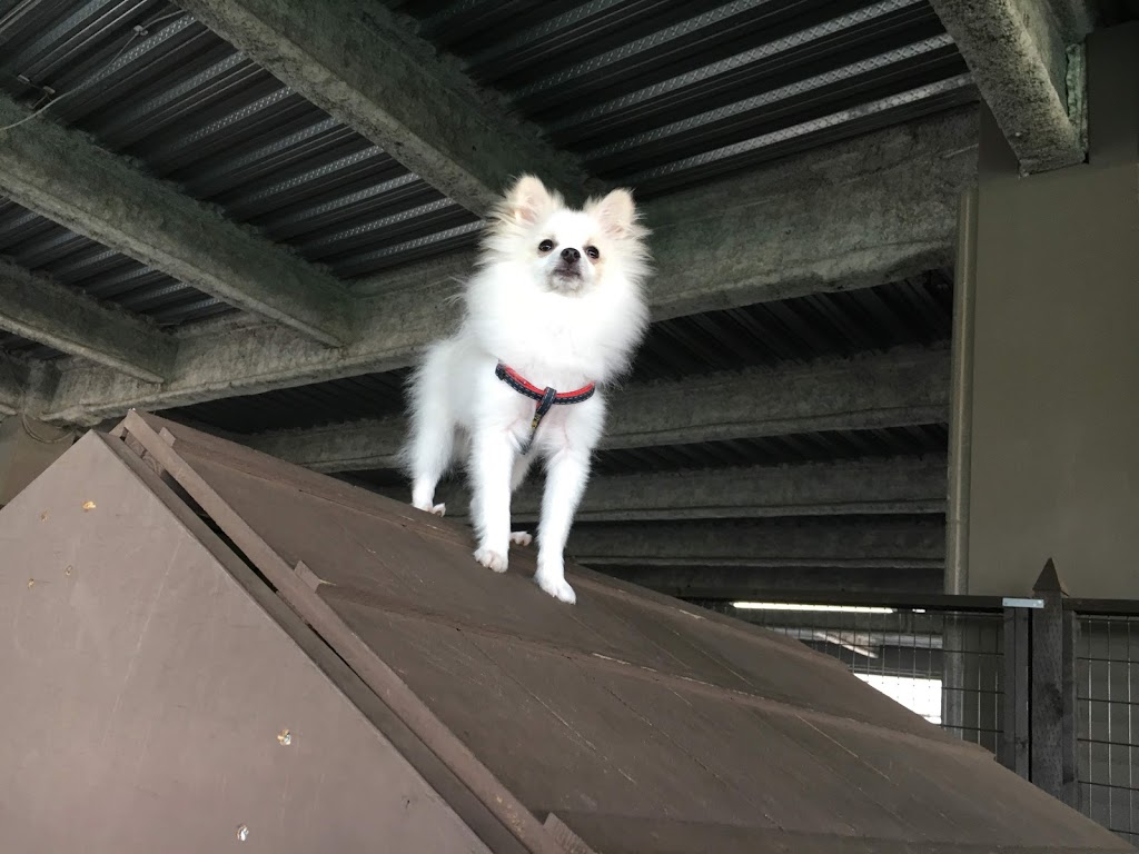 f:id:omisoblog:20201215232739j:plain