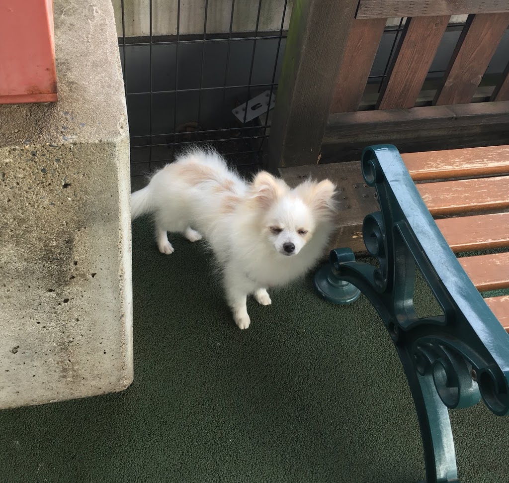 f:id:omisoblog:20201215232752j:plain