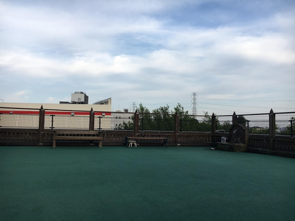 f:id:omisoblog:20201215232802j:plain