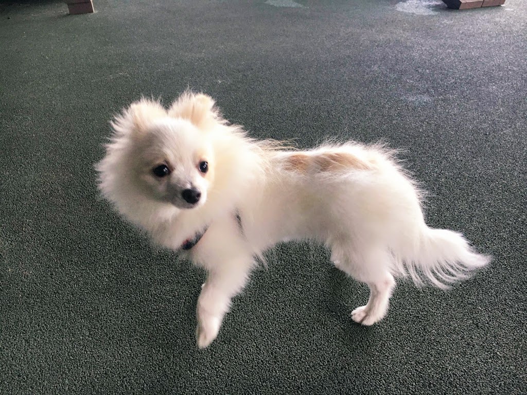 f:id:omisoblog:20201215232807j:plain