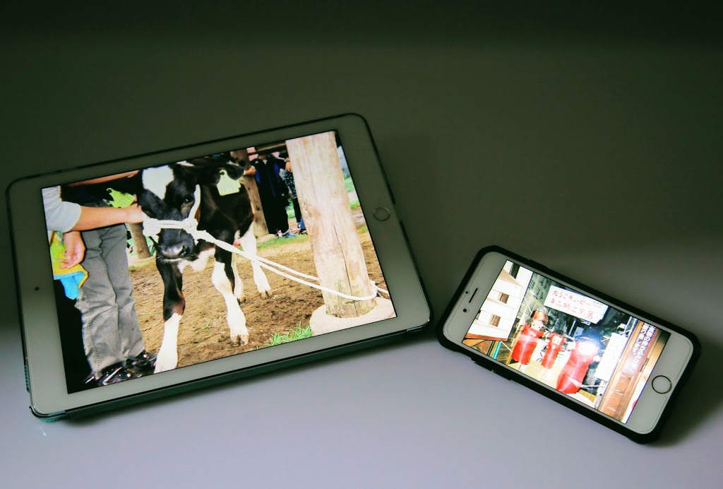 f:id:omisoblog:20210116172924j:plain