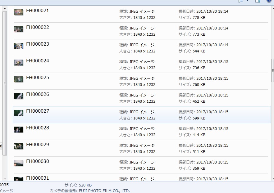 f:id:omisoblog:20210116172932j:plain