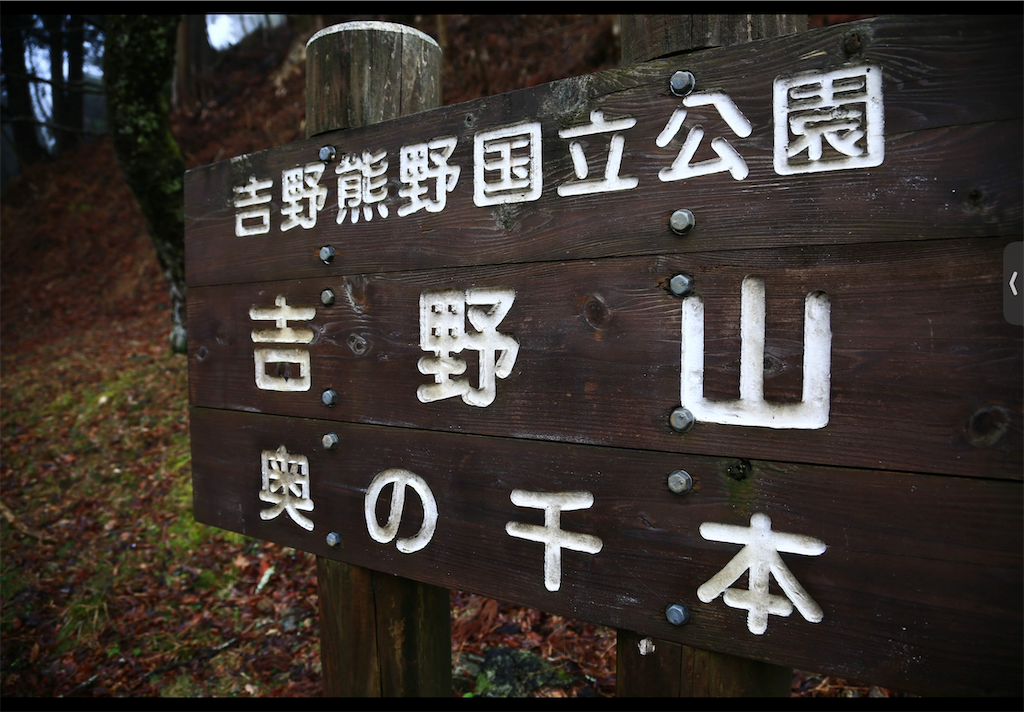 f:id:omisoblog:20250505164759p:image