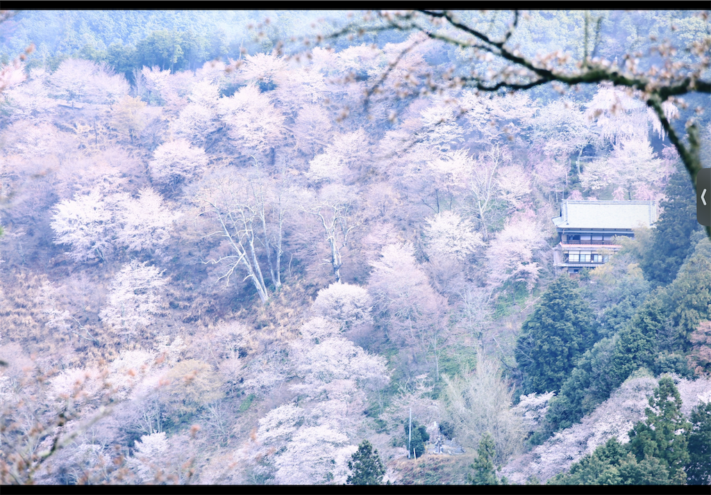 f:id:omisoblog:20250505164827p:image