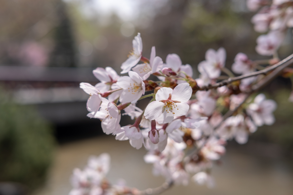 f:id:omistyle:20180502165317j:plain