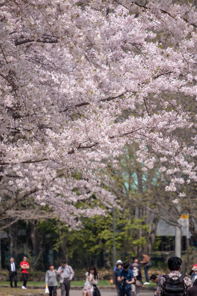 f:id:omistyle:20180502170928j:plain