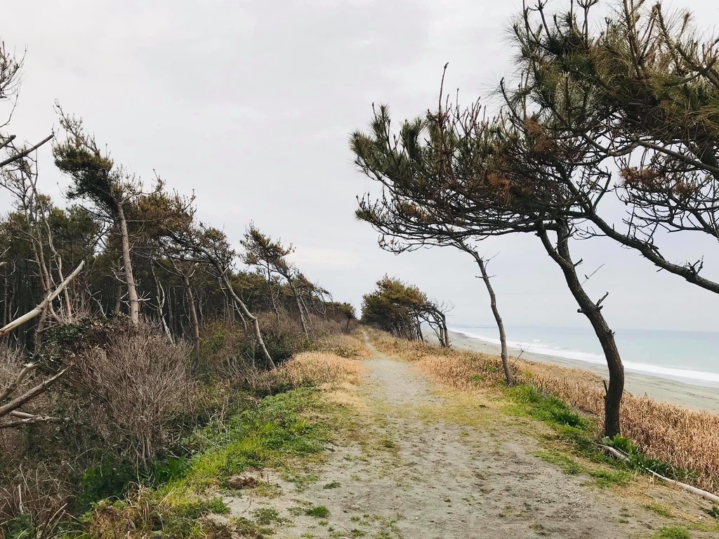 f:id:omitaka:20190312175951j:plain f:id:omitaka:20190312175951j:plain