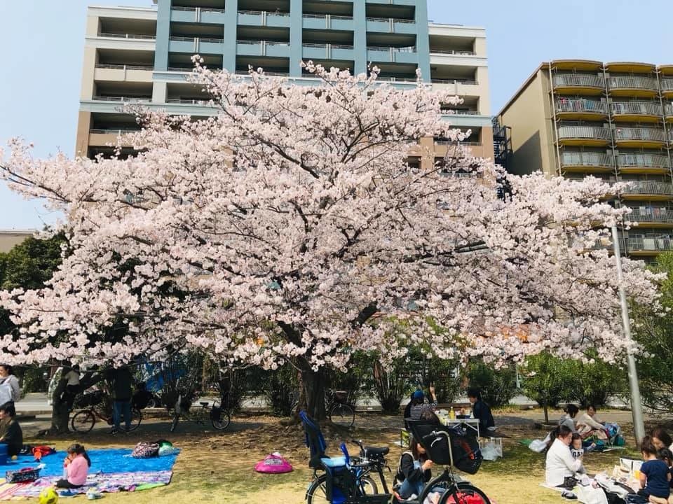 f:id:omitaka:20190408114442j:plain