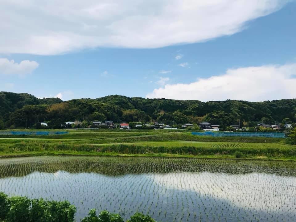 f:id:omitaka:20190505231718j:plain f:id:omitaka:20190505231718j:plain