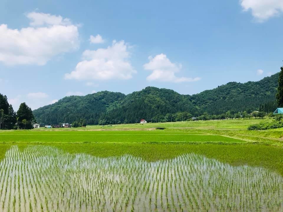f:id:omitaka:20190626213048j:plain