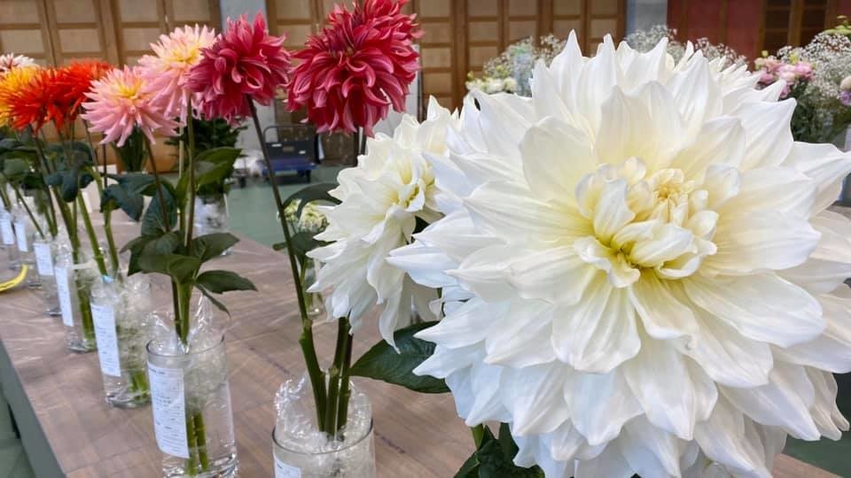 f:id:omitaka:20200206155650j:plain f:id:omitaka:20200206155650j:plain
