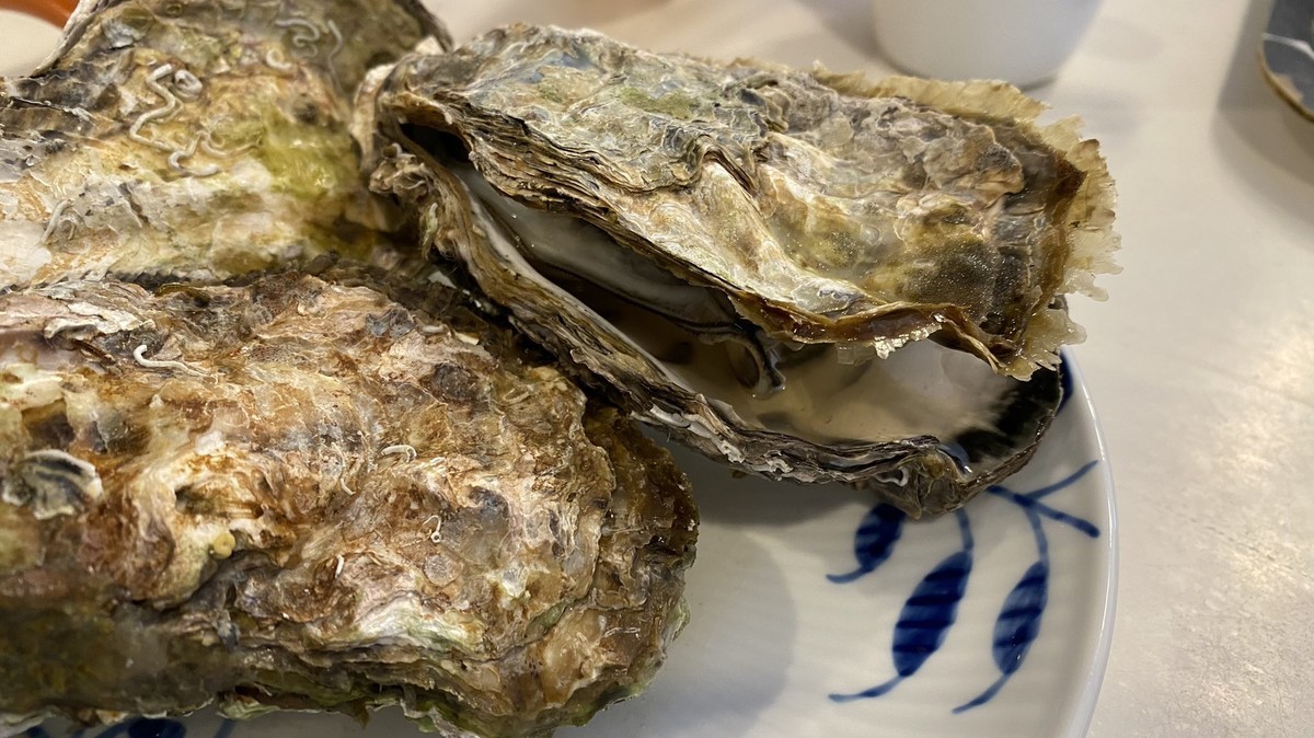 f:id:omitaka:20201217143819j:plain