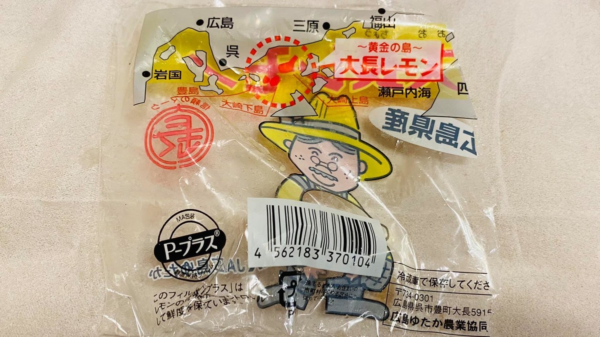 f:id:omitaka:20210607164614j:plain