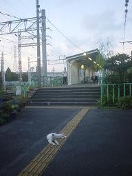 f:id:omma:20060725083333j:image