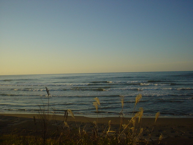 f:id:omma:20080915071202j:image:w360:right