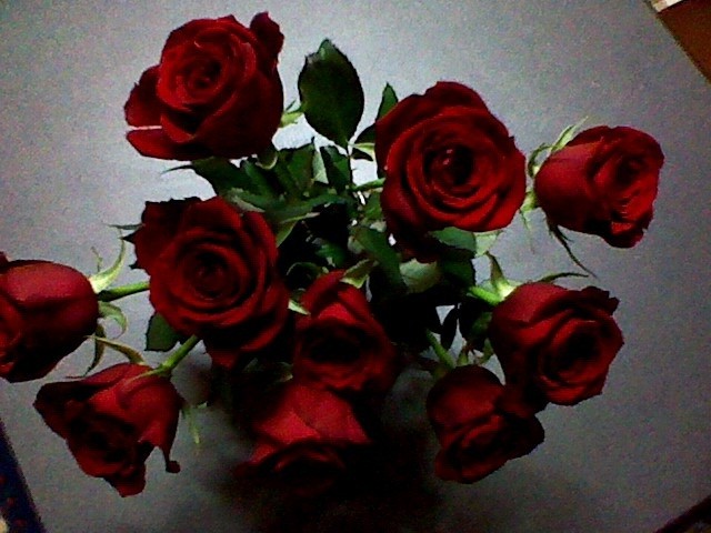 f:id:omma:20111209193104j:image:w150:left