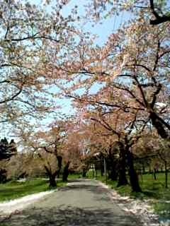 f:id:omma:20120513105514j:image