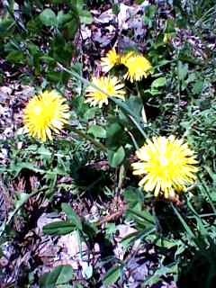 f:id:omma:20120513105956j:image