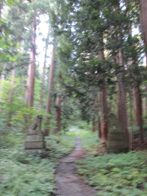 f:id:omma:20140906160742j:image
