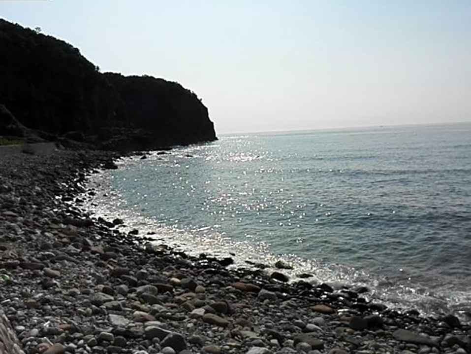 f:id:omma:20190619111337p:plain