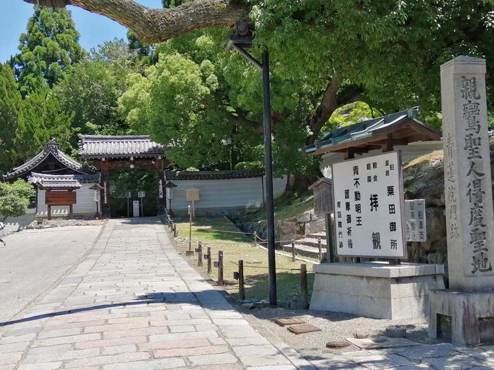 f:id:omma:20200614103612p:plain