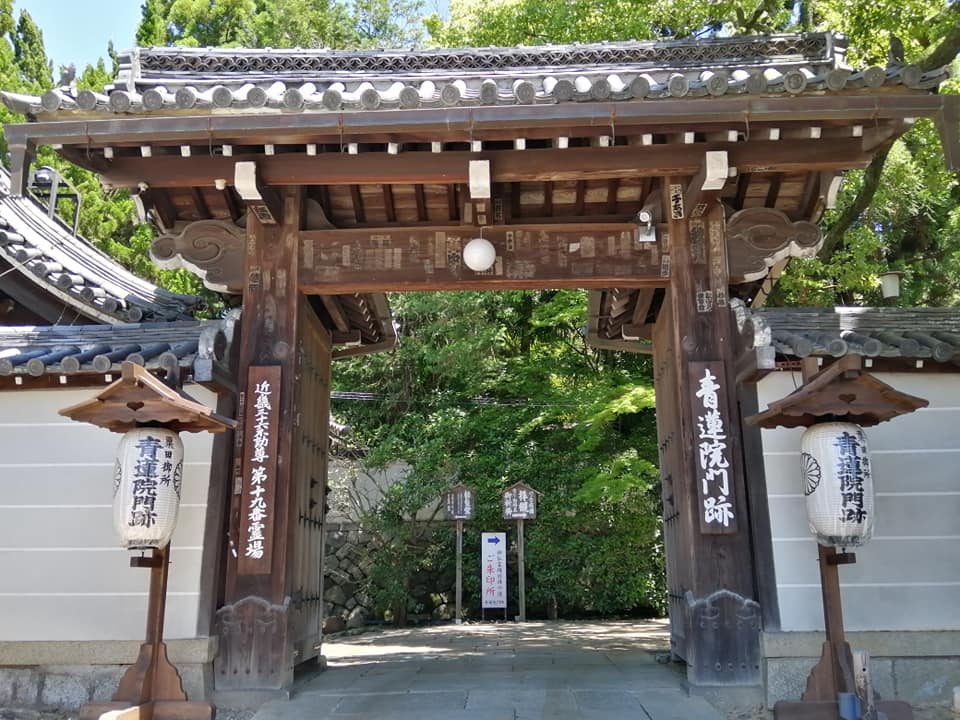 f:id:omma:20200614103650p:plain