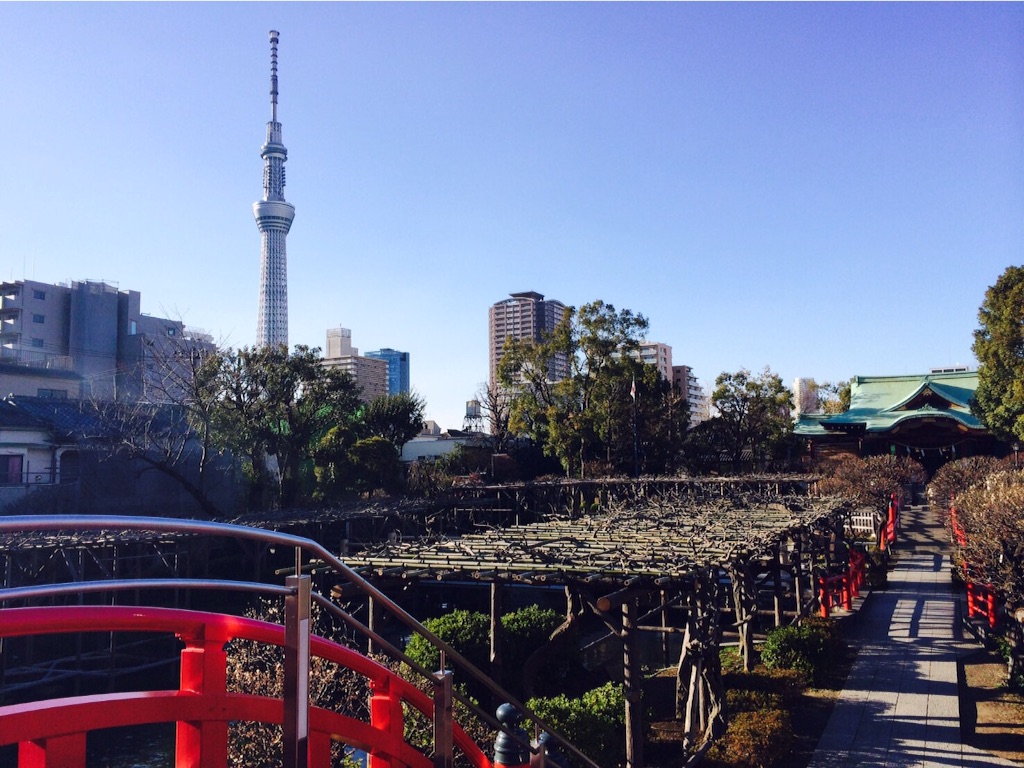f:id:omochi1101:20161019145446j:image f:id:omochi1101:20161019145446j:image