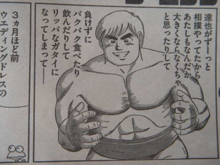 個別 達也 クッキングパパ のマワシ姿 Cook 1034より の写真 画像 08 Omochikun S Fotolife