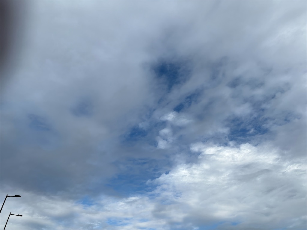 f:id:omochinodiary:20260910083613j:image f:id:omochinodiary:20260910083613j:image