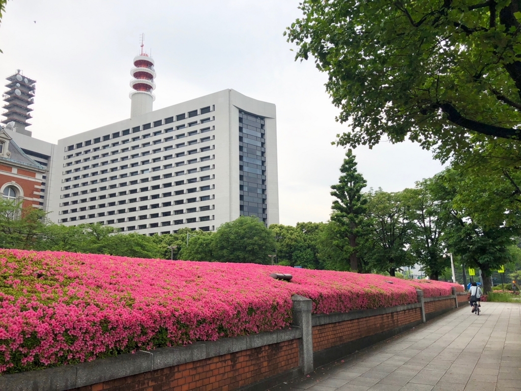 f:id:omochitab:20180512205059j:plain f:id:omochitab:20180512205059j:plain