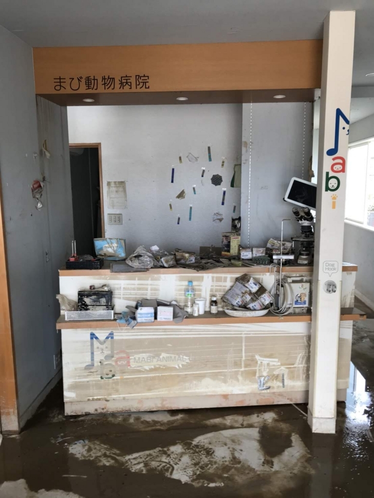 f:id:omoi-inc:20180722063507j:plain f:id:omoi-inc:20180722063507j:plain