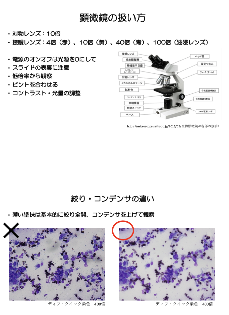 f:id:omoi-inc:20191017161953p:plain f:id:omoi-inc:20191017161953p:plain