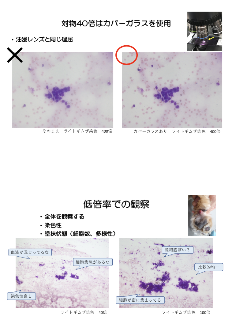 f:id:omoi-inc:20191017162022p:plain f:id:omoi-inc:20191017162022p:plain