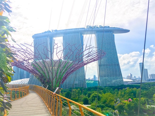 f:id:omomochi:20161203181354j:image f:id:omomochi:20161203181354j:image