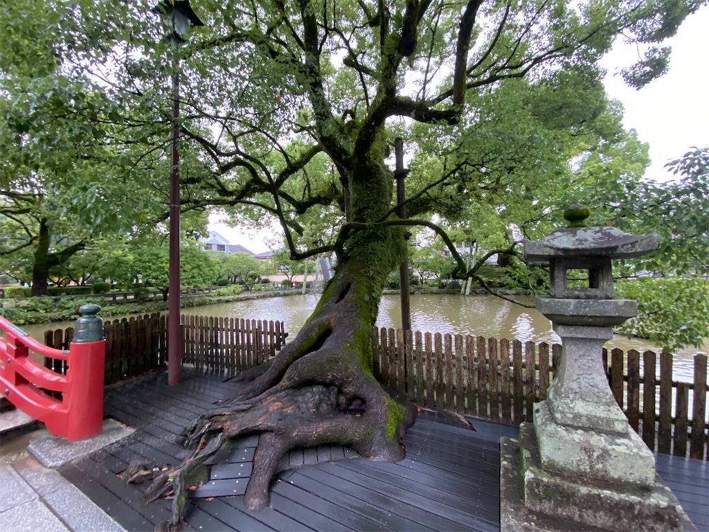 f:id:omomochi:20221009141621j:image