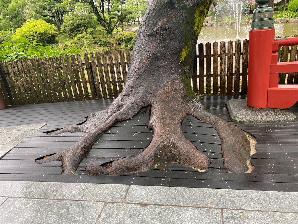 f:id:omomochi:20221009141633j:image f:id:omomochi:20221009141633j:image