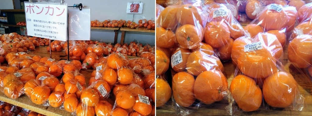 f:id:omoroionnsenn:20190130232655j:plain f:id:omoroionnsenn:20190130232655j:plain