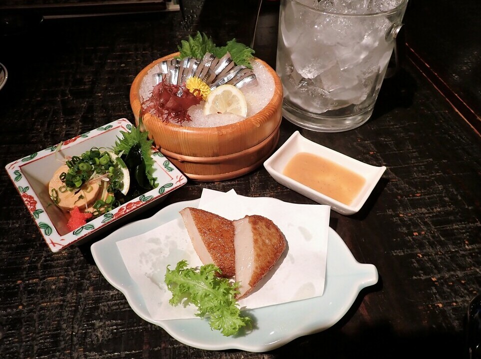 f:id:omoroionnsenn:20190227204945j:plain