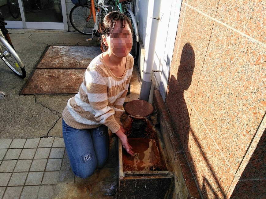 f:id:omoroionnsenn:20190507085847p:plain