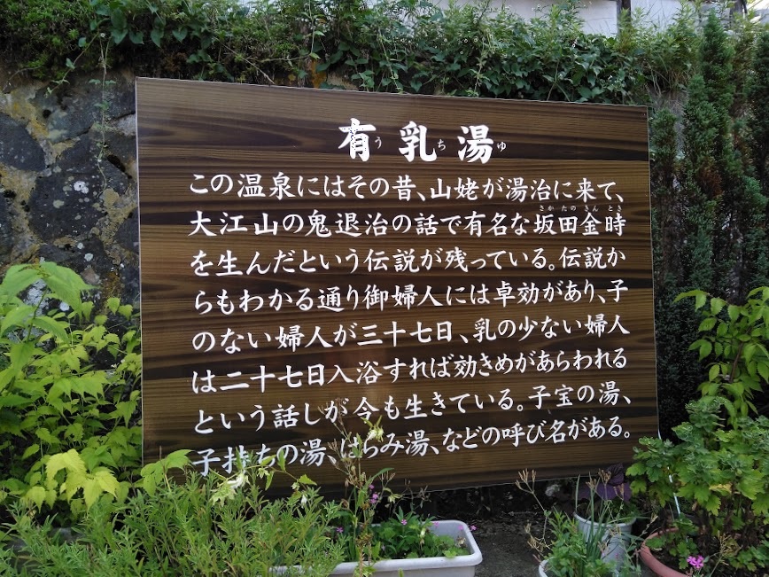 f:id:omoroionnsenn:20190520132418j:plain