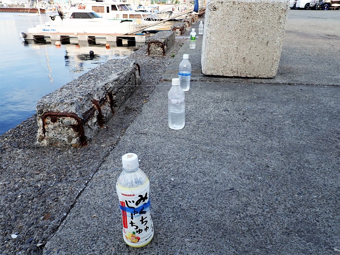 f:id:omoroionnsenn:20190526093932j:plain