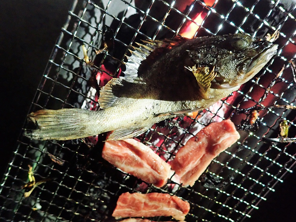 f:id:omoroionnsenn:20190526094923j:plain