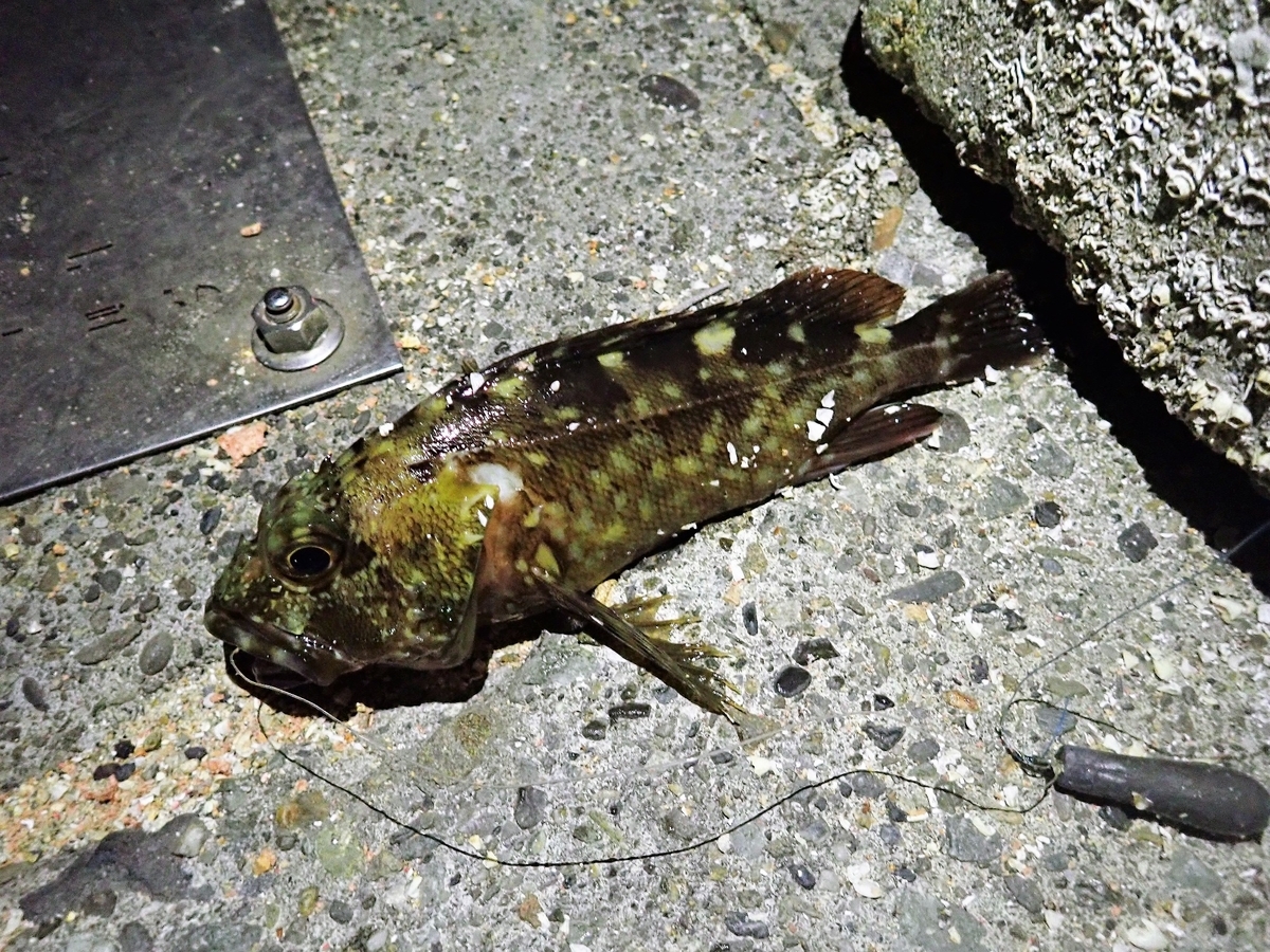 f:id:omoroionnsenn:20190526095120j:plain