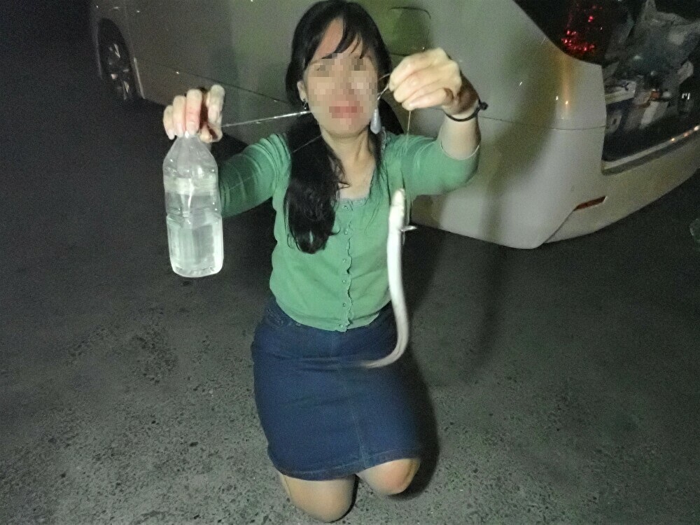 f:id:omoroionnsenn:20190526101538j:plain