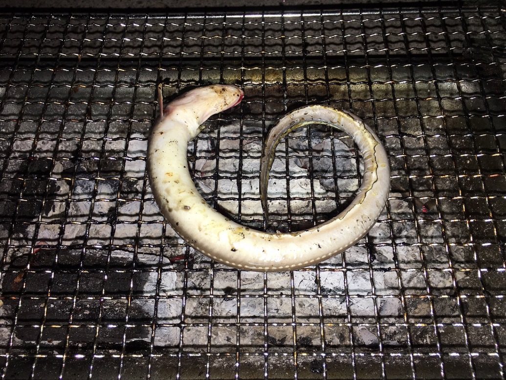 f:id:omoroionnsenn:20190526101654j:plain