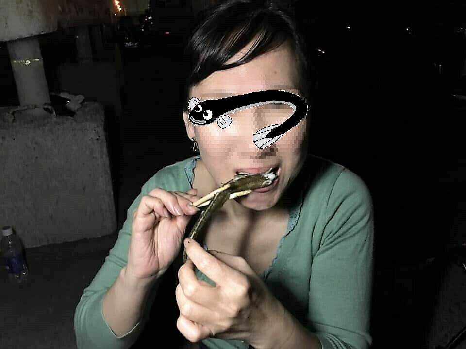 f:id:omoroionnsenn:20190526103156j:plain