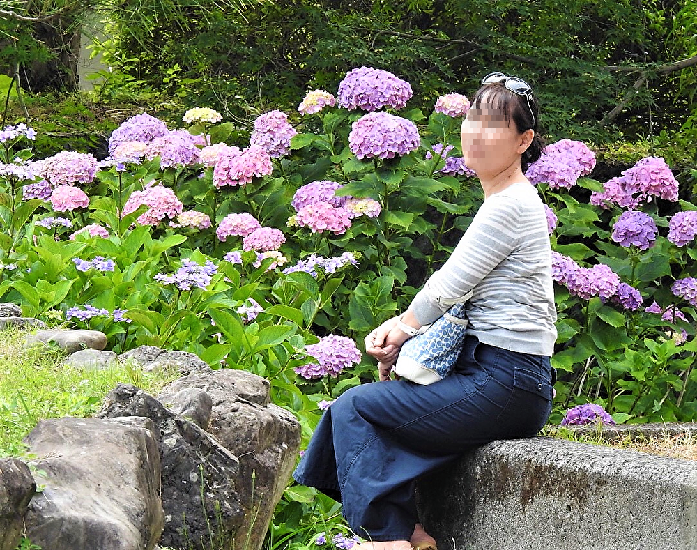 f:id:omoroionnsenn:20190624195657p:plain
