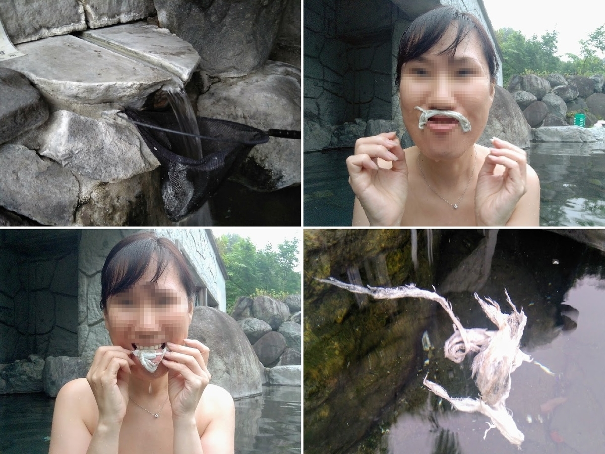 f:id:omoroionnsenn:20190806112505j:plain
