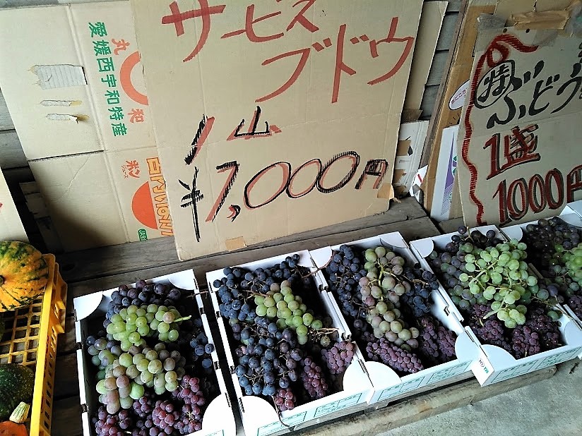 f:id:omoroionnsenn:20190826145039j:plain